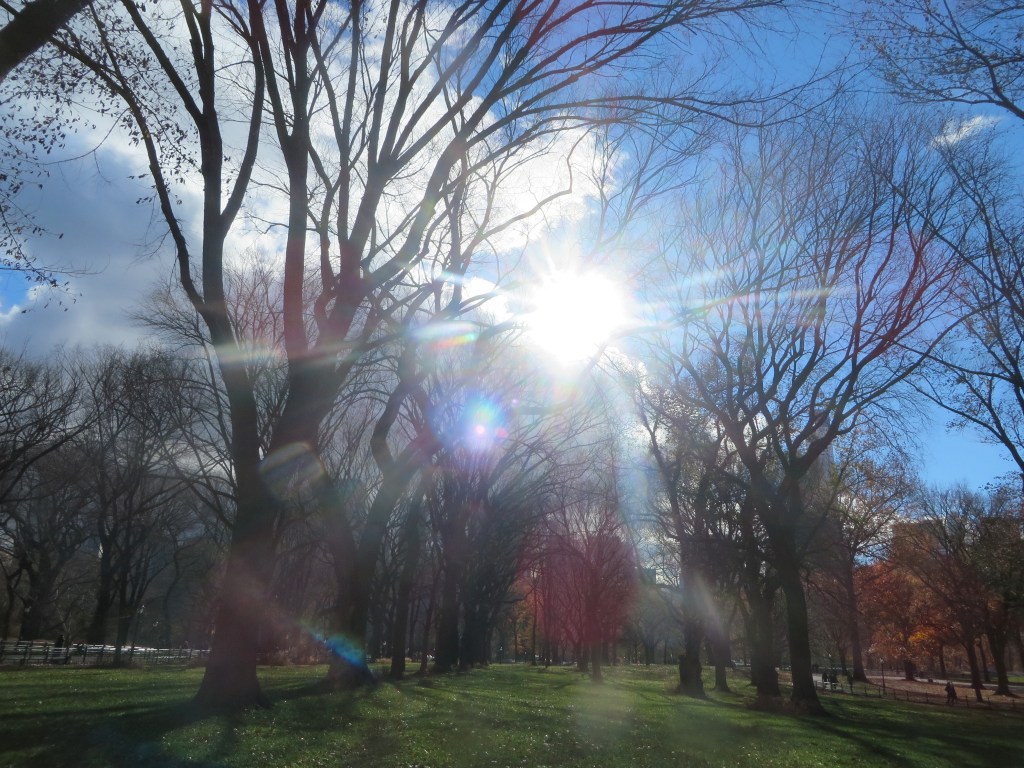 Event about historic preservation at The Van Alen&nbsp;institute