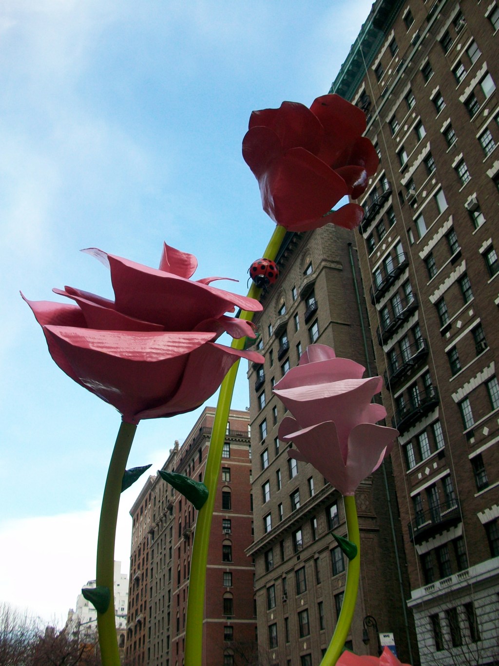 A great Yellow&nbsp;city