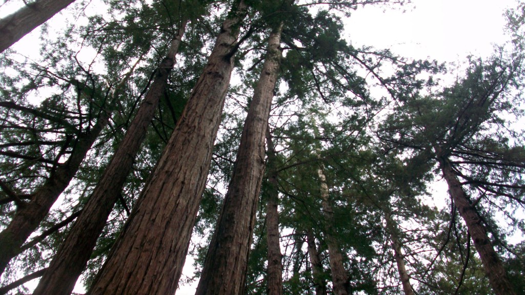 Cultural geography and ‘hiisi’-territoriality…