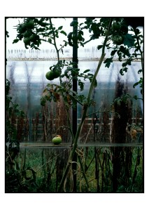 Bara Kristinsdottir - Hot Spots2