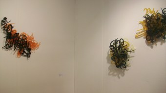 simeen farhat _image7