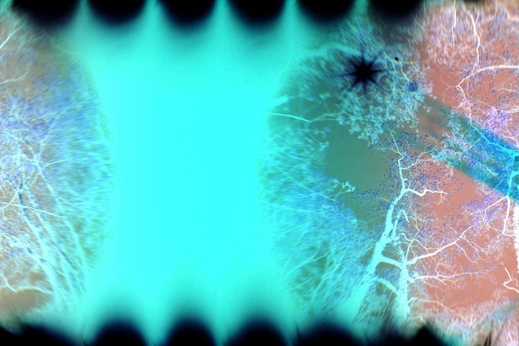 Leah Oates in spotlight: artist, curator,&nbsp;gallerist