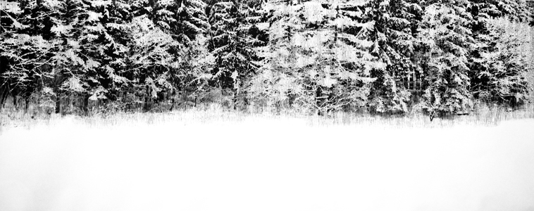 Katsutoshi Yuasa, 2014, After a long pause  60cm x 150cm  Oil-based woodcut on paper