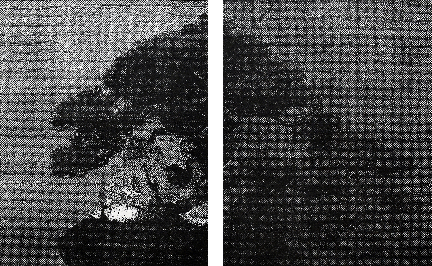 Katsutoshi Yuasa, 2016, Aesthetics of 12 #1  28cm x 45cm  Oil-based woodcut on paper