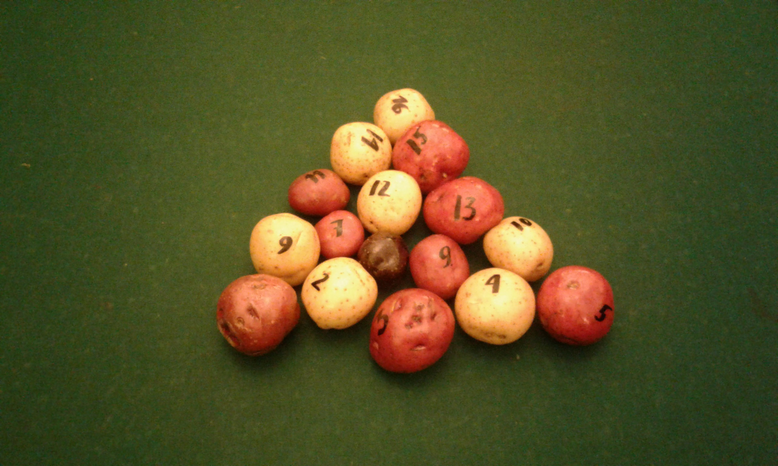 Flo Kasearu_installation view at the Estonian House.