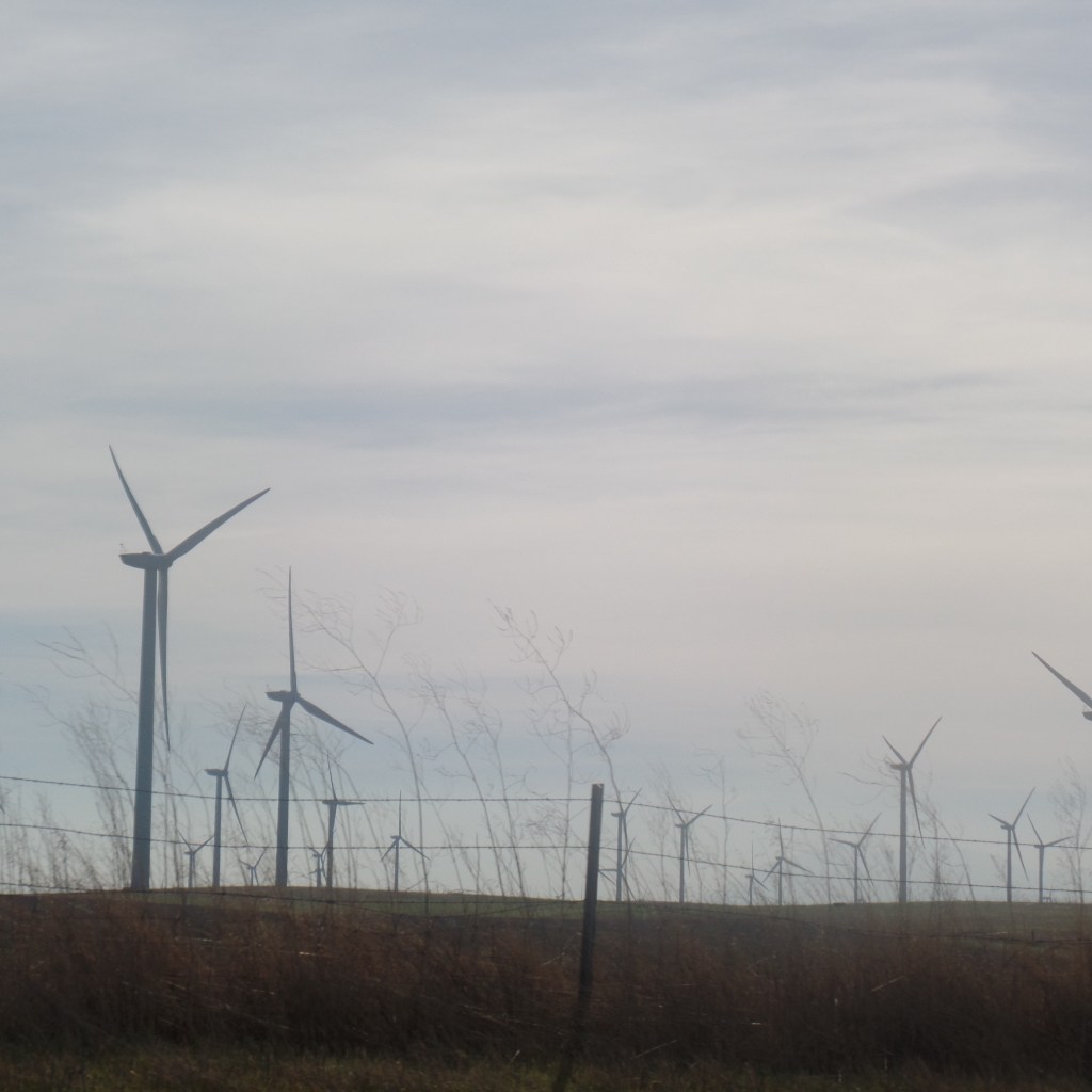 Shakespeare and Earth&nbsp;Day