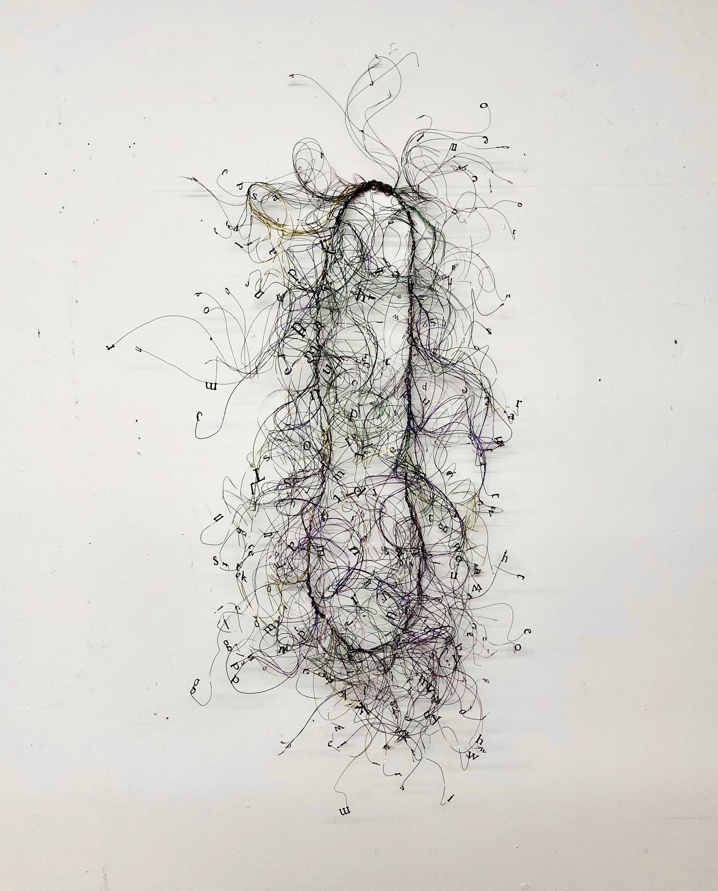 Jocelyn Shu, installation view.