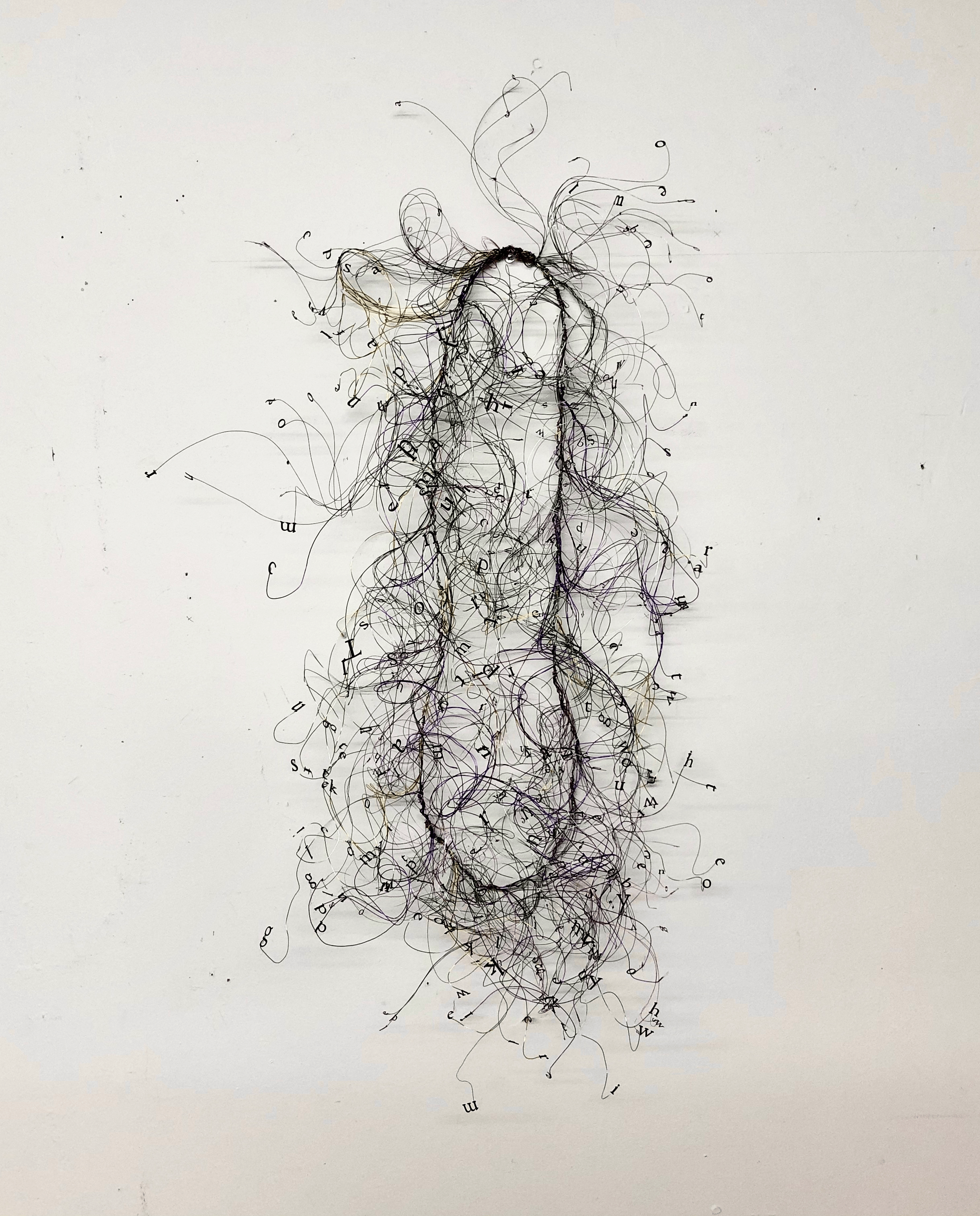 Jocelyn Shu, installation view.