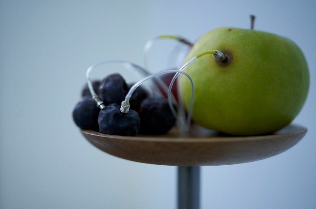 Yuko Mohri creates the Japan Pavilion in Venice